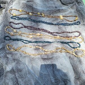 Set of 6 shell necklaces
